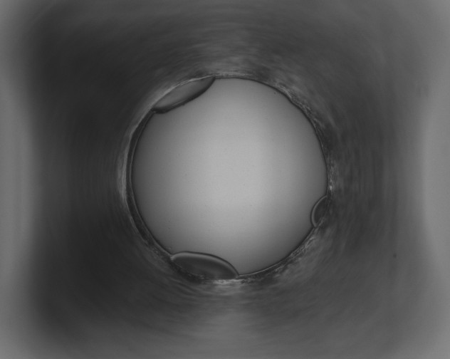 X0000100470052200806271150