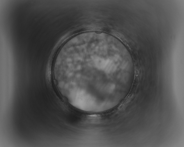 X0000100470053200806271150