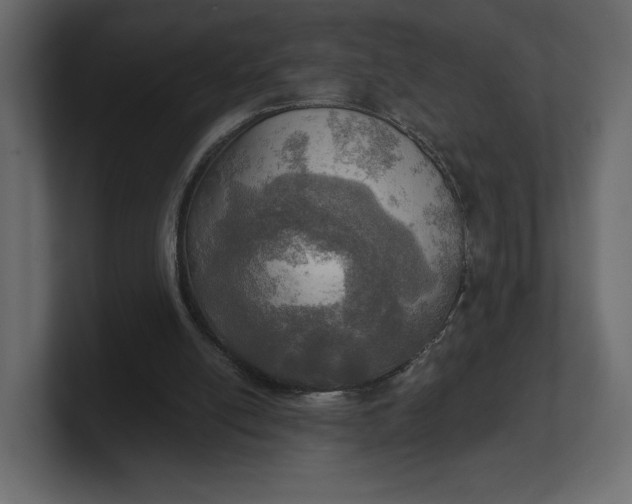 X0000100470054200806271150