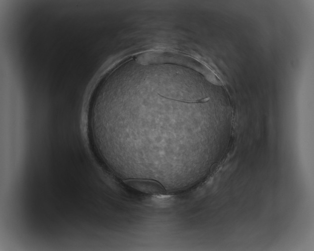 X0000100470055200806271150