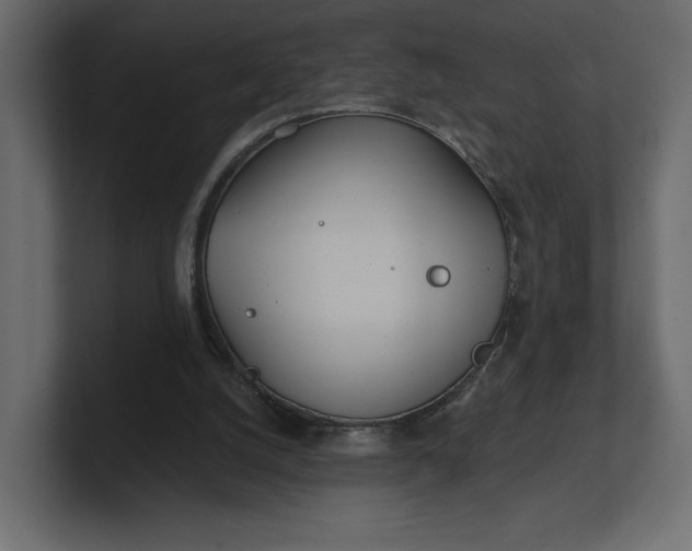 X0000100470056200806271150