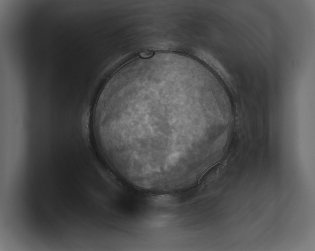 X0000100470058200806271150