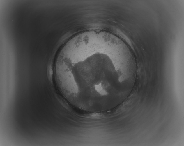 X0000100470059200806271150