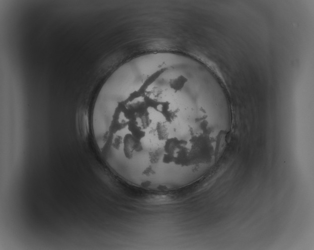 X0000100470061200806271150