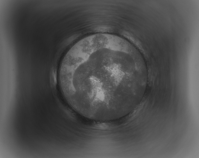 X0000100470062200806271150