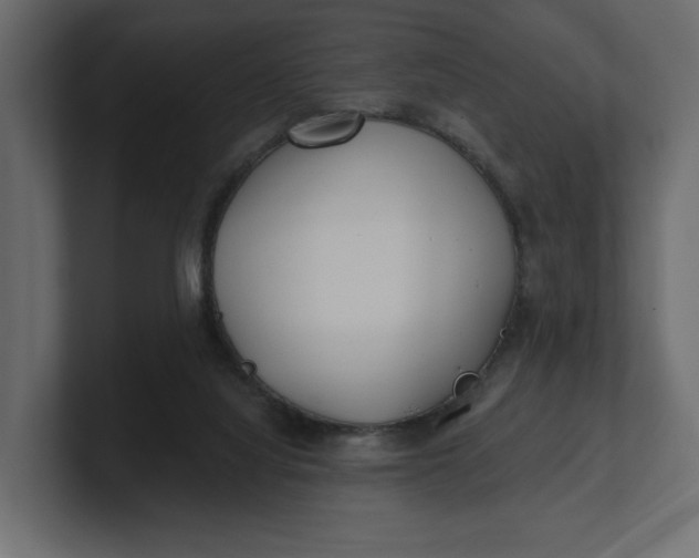 X0000100470068200806271150