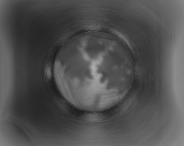 X0000100470069200806271150