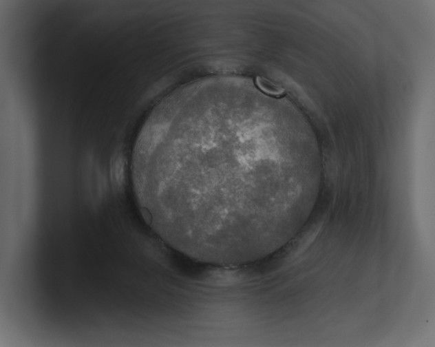 X0000100470071200806271150