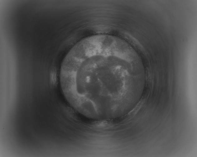 X0000100470074200806271150