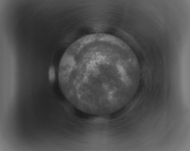 X0000100470075200806271150