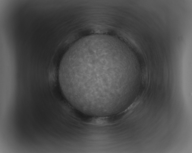 X0000100470078200806271150