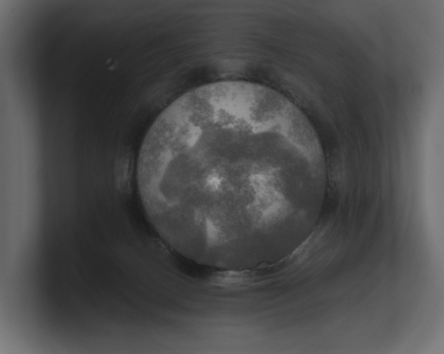 X0000100470082200806271150