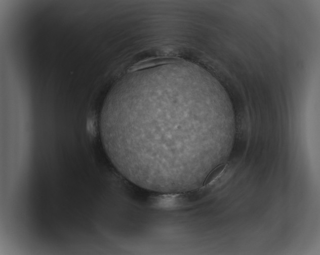 X0000100470090200806271150