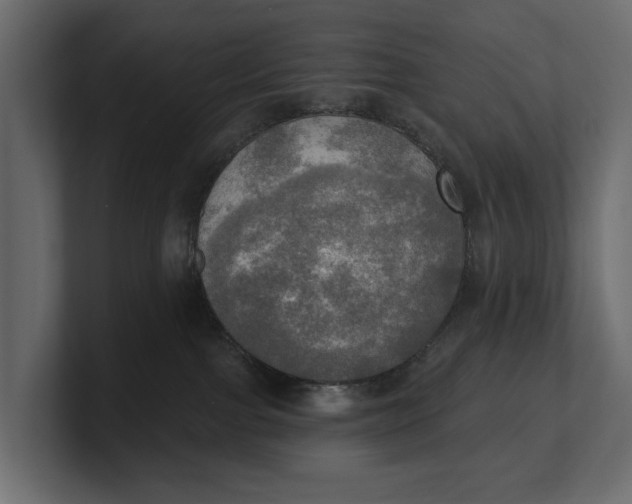 X0000100470091200806271150