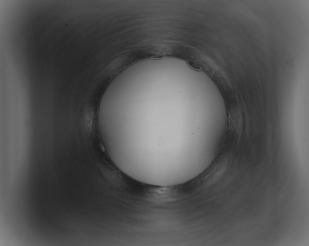 X0000100470092200806271150