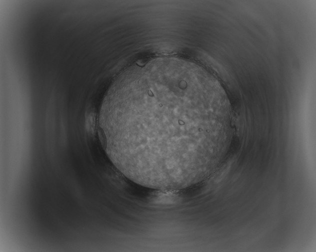 X0000100470093200806271150