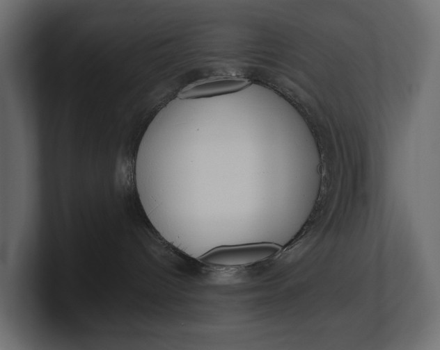 X0000100470096200806271150