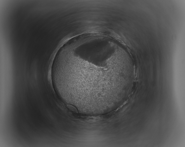 X0000100470099200806271150