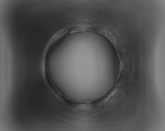 X0000100470101200806271150