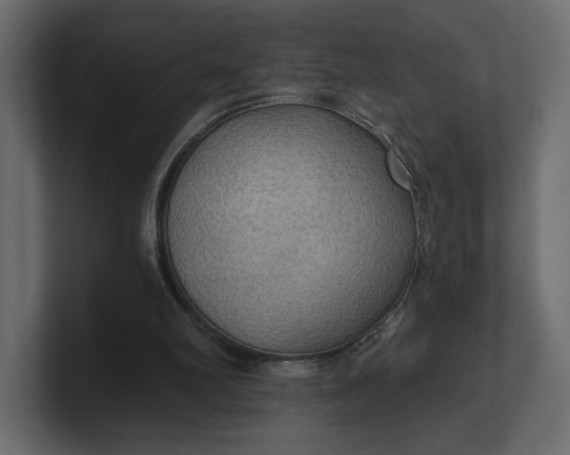 X0000100470102200806271150