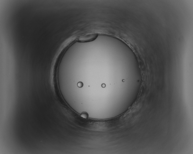 X0000100470104200806271150