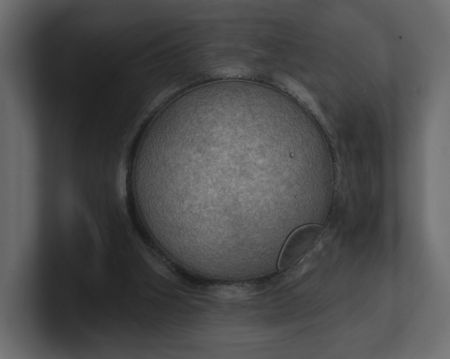 X0000100470106200806271150