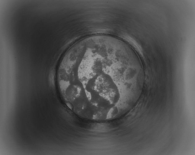 X0000100470107200806271150