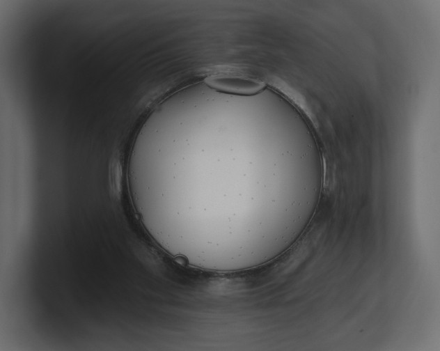 X0000100470109200806271149