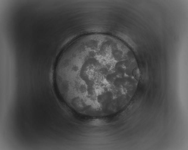 X0000100470111200806271149