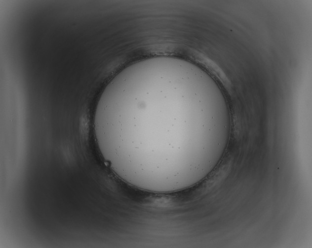 X0000100470113200806271149