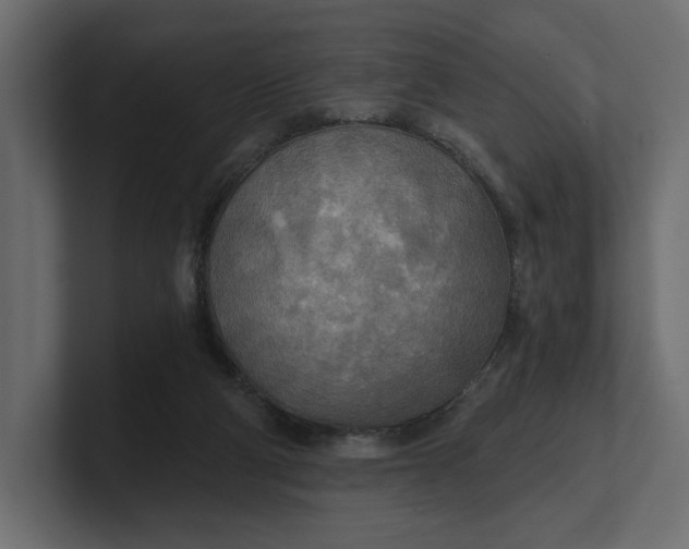 X0000100470114200806271149