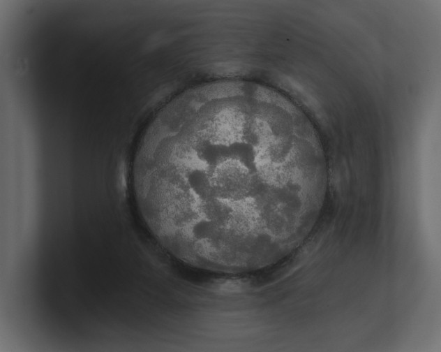 X0000100470115200806271149