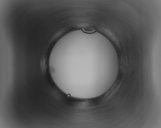 X0000100470116200806271149