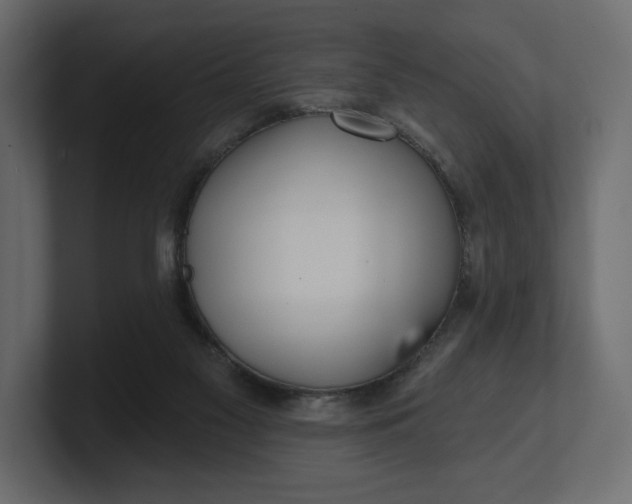 X0000100470117200806271149