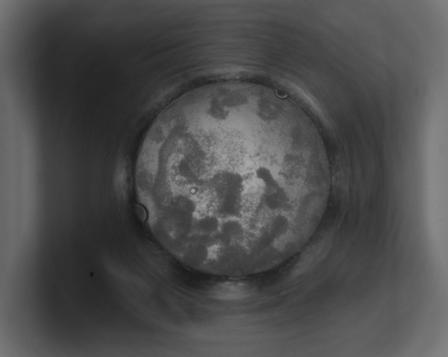 X0000100470119200806271149