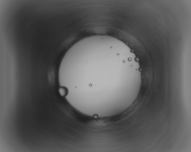 X0000100470120200806271149