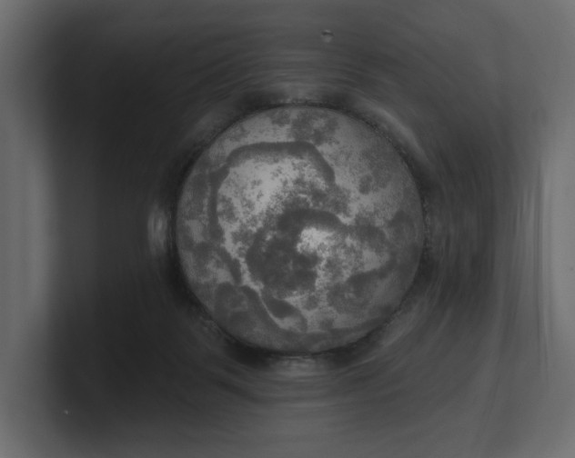 X0000100470123200806271149