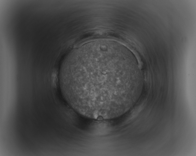 X0000100470127200806271149