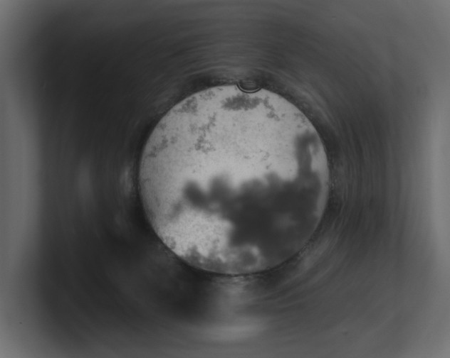 X0000100470131200806271149