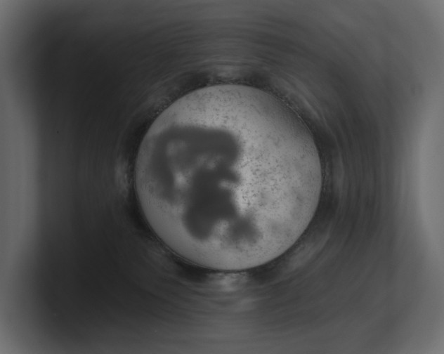 X0000100470135200806271149