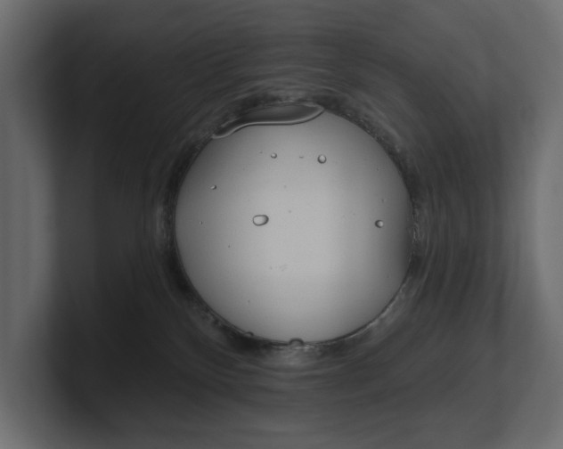 X0000100470136200806271149