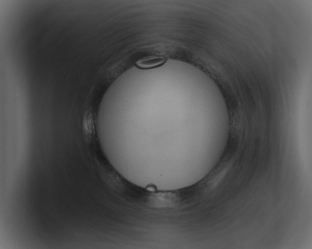 X0000100470137200806271149