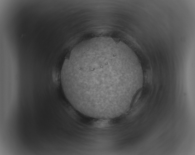 X0000100470138200806271149