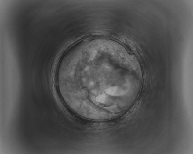 X0000100470145200806271148