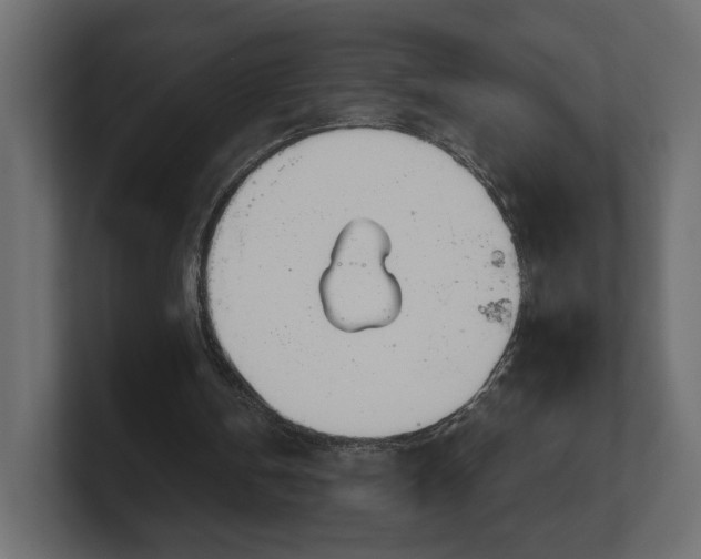 X0000100470146200806271148