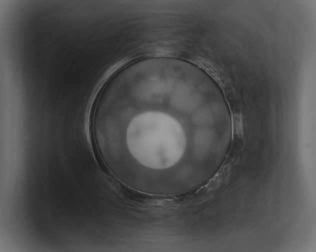 X0000100470147200806271148