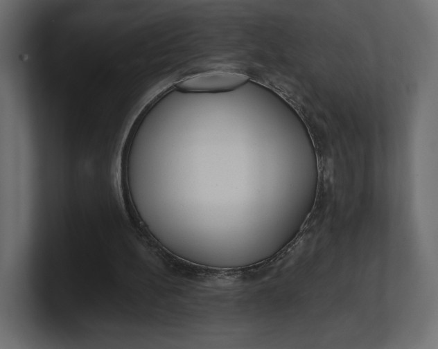 X0000100470148200806271148