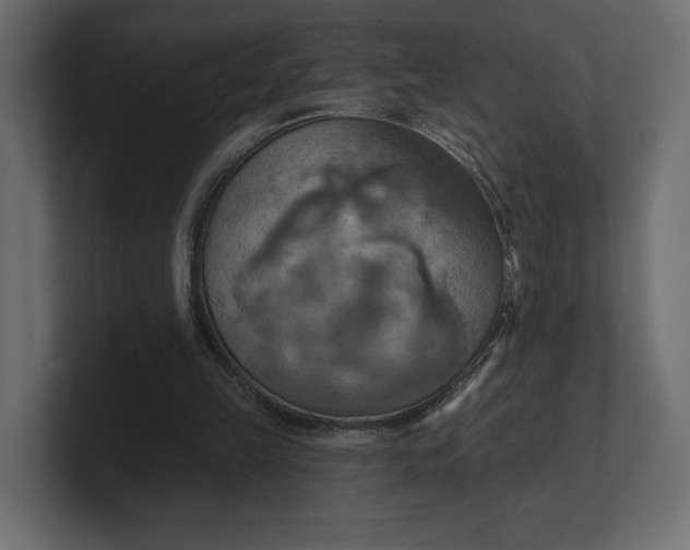 X0000100470149200806271148