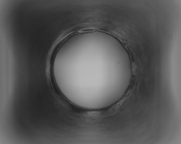 X0000100470150200806271148