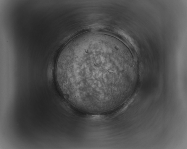 X0000100470153200806271149